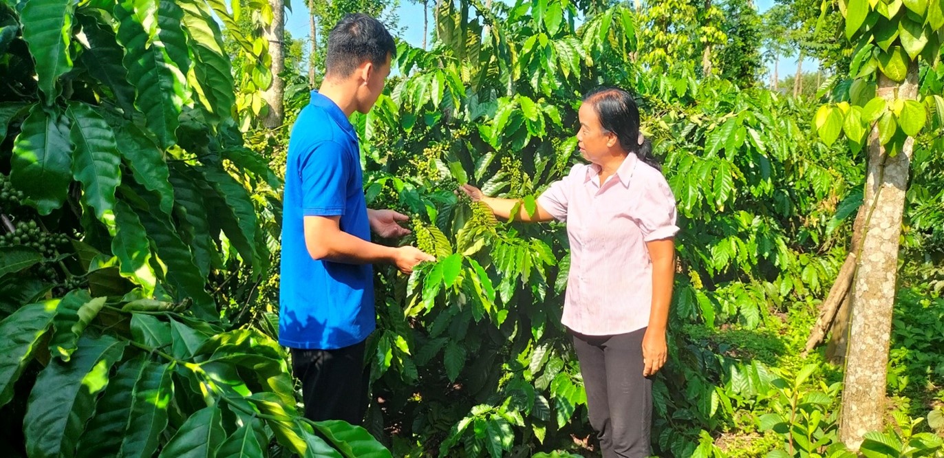 TỔ TRƯỞNG TỔ TIẾT KIỆM VÀ VAY VỐN TÂM HUYẾT